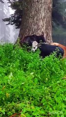 Finding Shelter sharing the moment