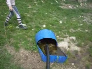 Rando 2008