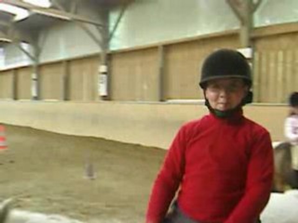 poneys