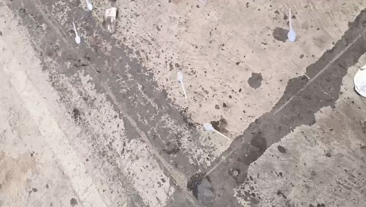 funny video