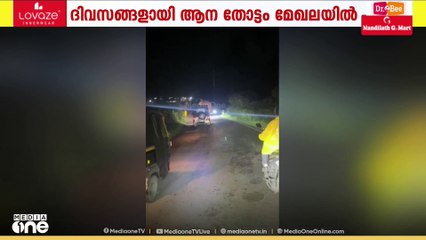 മൂന്നാറിൽ ദേശീയപാതയിൽ ഒറ്റക്കൊമ്പൻ ഇറങ്ങി; ഗതാഗത തടസമുണ്ടാക്കി നിന്നത് ഇന്നലെ രാത്രി