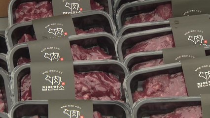 국내산 육우 맛보고·즐기고...우리 육우 축제, 북적 / YTN