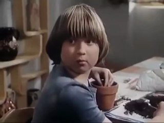 Der fliegende Ferdinand 3