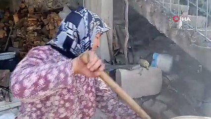 Selendi’de şifa kaynağı pekmez kaynatılmaya başlandı