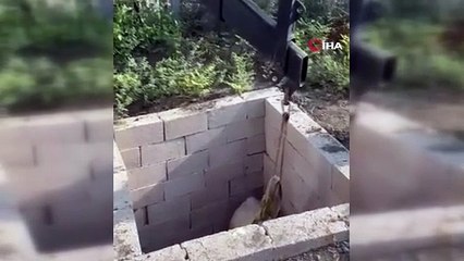 Tuvalet kuyusuna düşen boğa itfaiye ekipleri tarafından kurtarıldı