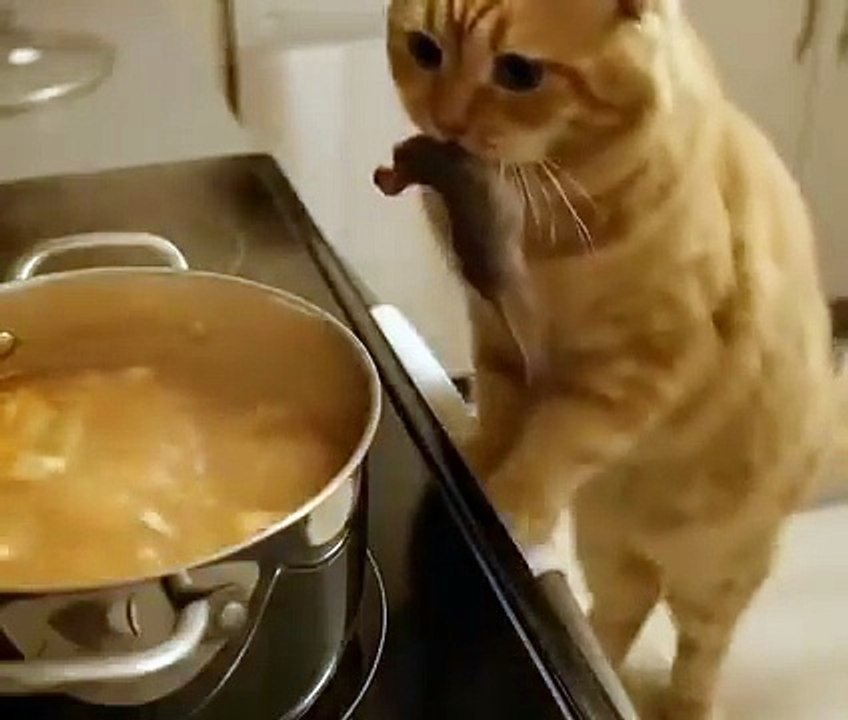 perfect, i can cook my little mouse in this pot! 😅