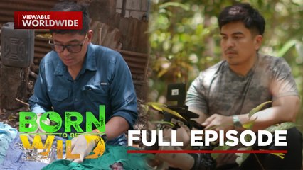 The Alpha Monkey and the Philippine Flying Lemur | Born to Be Wild (Full Episode)