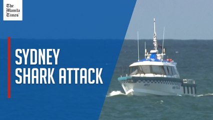 Man dies after shark attack at Sydney beach