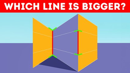 The Best Optical Illusions That Will Stumble Your Brain