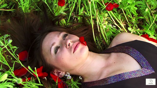 Seniors Over 60—Must Celebrate Small Wins How Daily Positive Focus Boosts Mood and Confidence