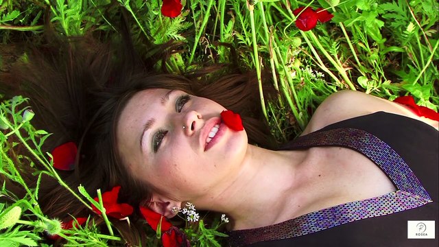 Seniors Over 60—Must Surround Yourself with Positivity Choosing Uplifting Company and Environments