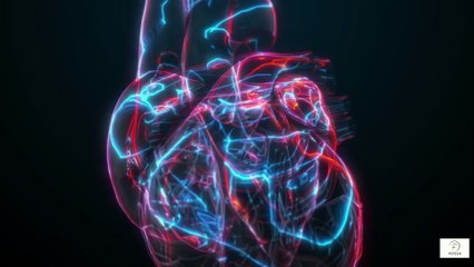 Seniors Over 60—Do Not Ignore Blood Pressure The Silent Killer You Can Control