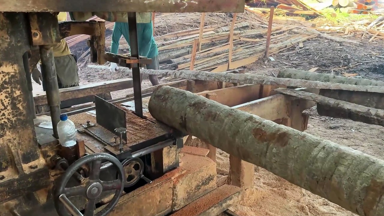 Coconut Wood 5x15 Sawing Techniques with Sawmill