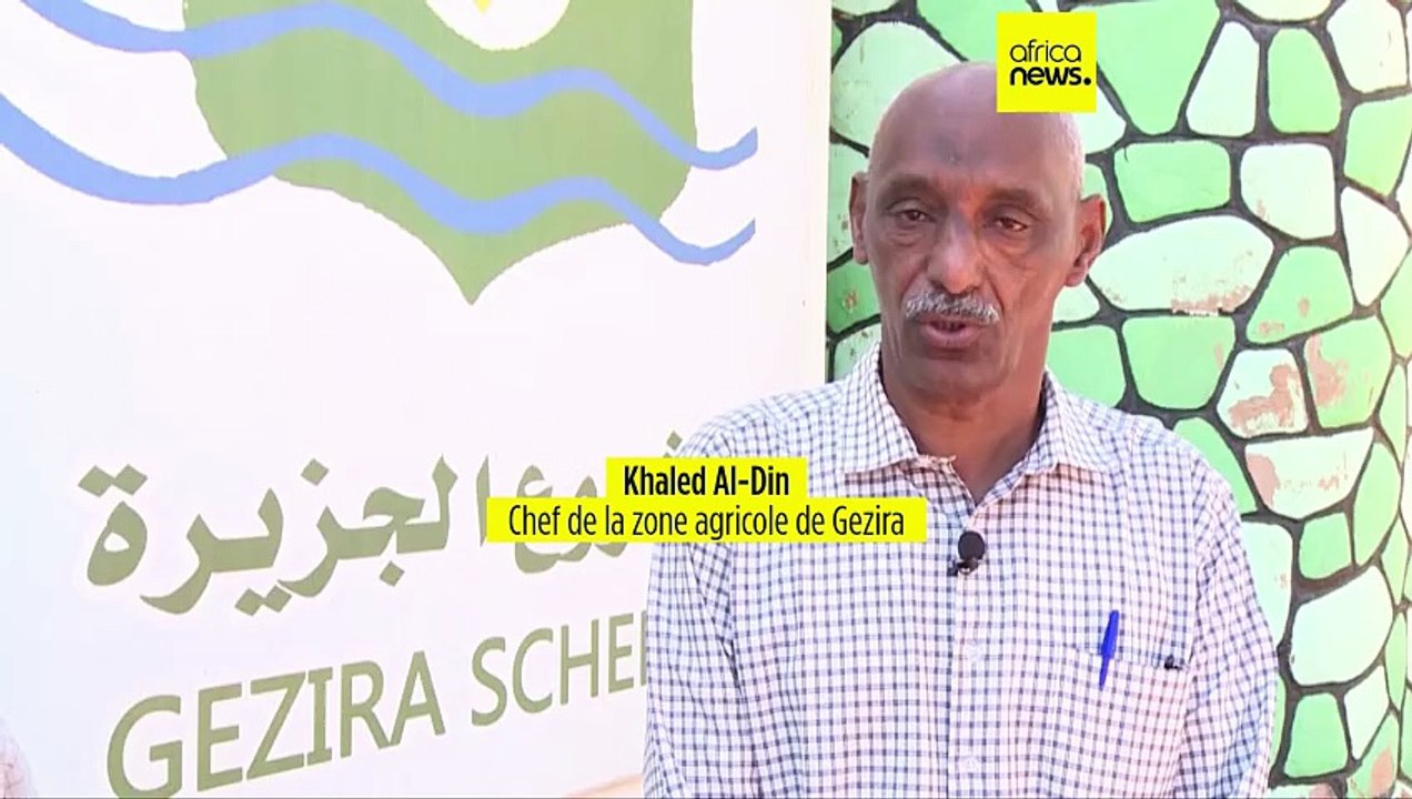 Le conflit au Soudan dévaste le secteur agricole et provoque une famine