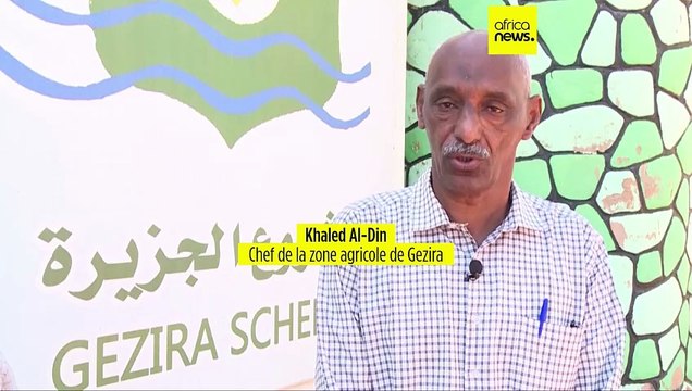 Le conflit au Soudan dévaste le secteur agricole et provoque une famine