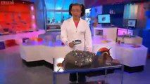 Cbeebies Nina And The Neurons In The Lab Marvellous Milk 5x25...mp4
