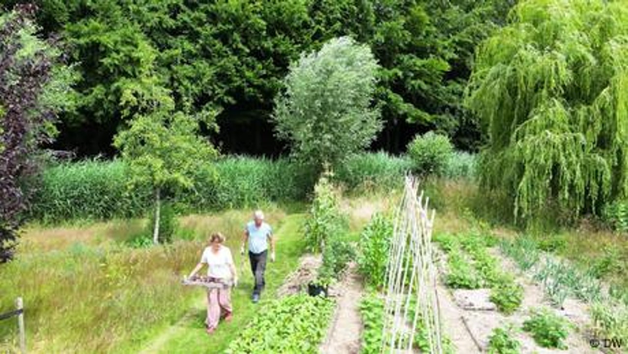 Niederlande: Warum in Oosterwold Gemüseanbau Pflicht ist