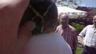 Boa constrictor (video) 3