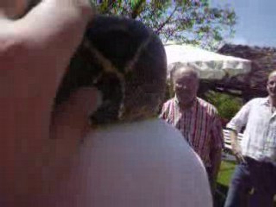 Boa constrictor (video) 3