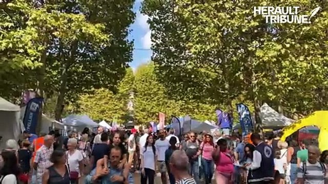 Édition 2025 de l'Antigone des associations