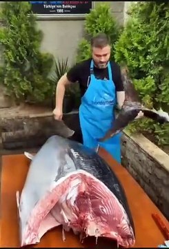 Tuna Fish cutting Sharp knife