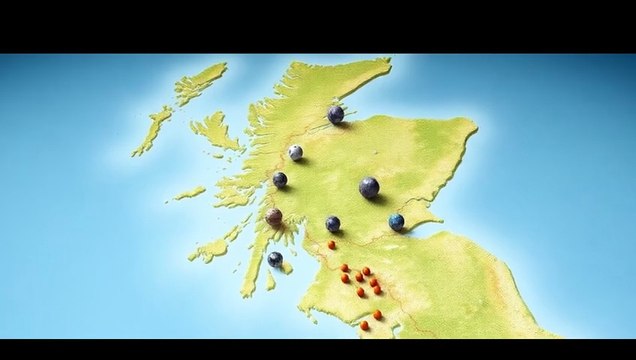 Most Confounding Artifacts Ever Unearthed—Ranked by Weirdness