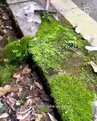 The most satisfying clean up job you'll see today! ✨