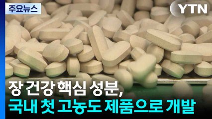 장 건강 핵심 성분, 국내 첫 고농도 제품으로 개발 / YTN