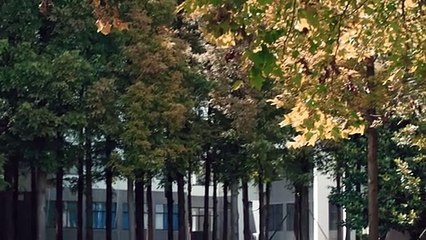 Tình Bạn Diệu Kỳ - Tập 21 _ Phim Thanh Xuân Vườn Trường Trung Quốc