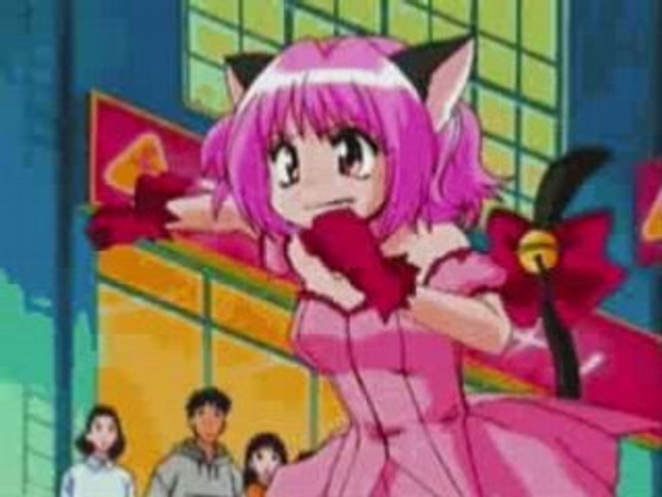 Tokyo mew mew