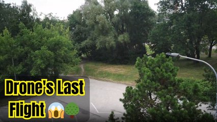 Drone crashes while filming and ends up tangled in a tree