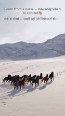 The Real Secret to Success You Must Know!”