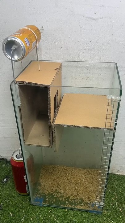 caer en la trampa/Trampa para ratones