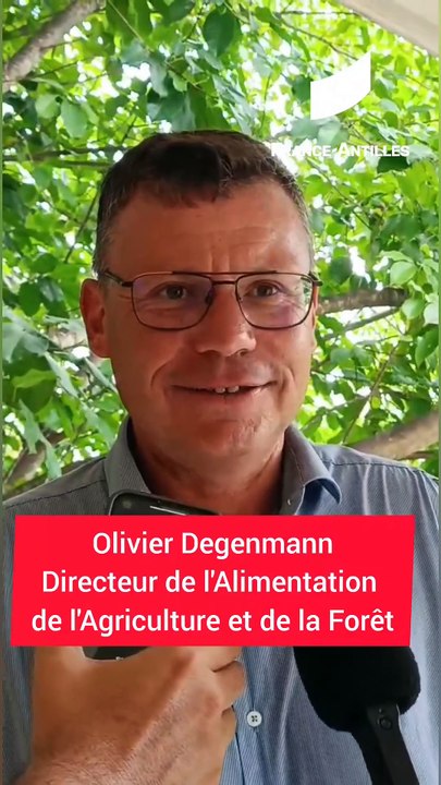 [GUADELOUPE] Olivier Degenmann explique l'importance de la filière agricole en Guadeloupe