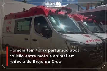 Homem tem tórax perfurado após colisão entre moto e animal em rodovia de Brejo do Cruz