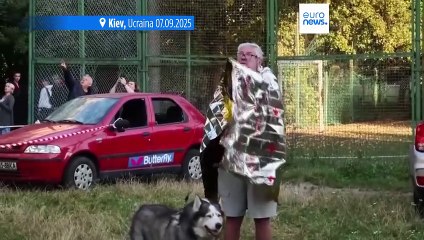 Le notizie del giorno | 07 settembre 2025 - Serale