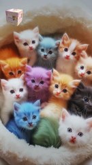 Cute Animals | Part 07 | حيوانات لطيفة | AS Nagra