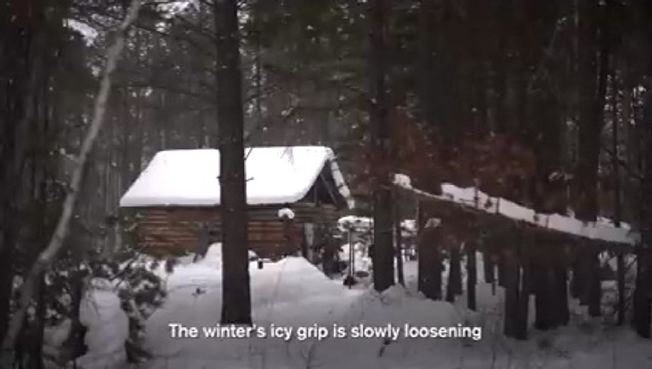 20 Years Off the Grid in Siberia: A Tale of Survival in the Wild