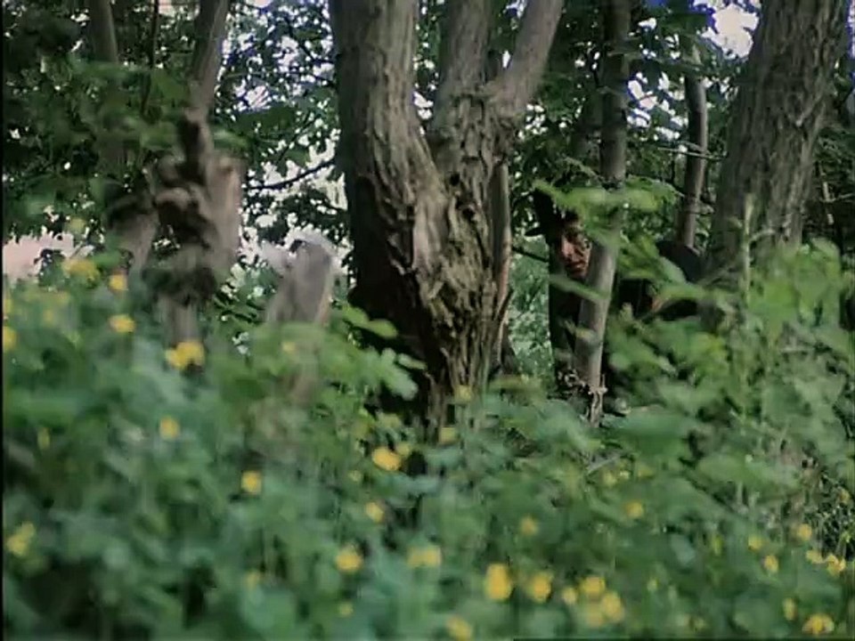 Der kleine Herr Friedeman (DDR 1991)