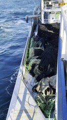 🌻thousands Of tons Of fishing systems