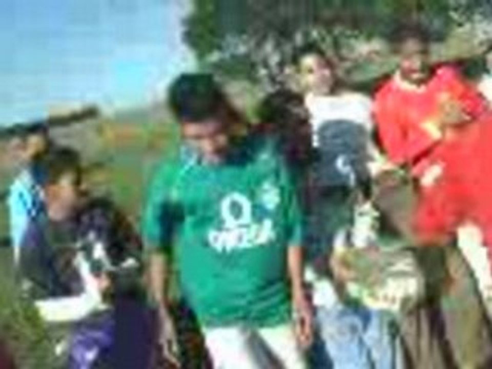 Mimouza dima zahin