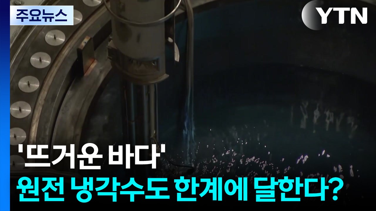 '뜨거운 바다'...원전 냉각수도 한계에 달한다? / YTN