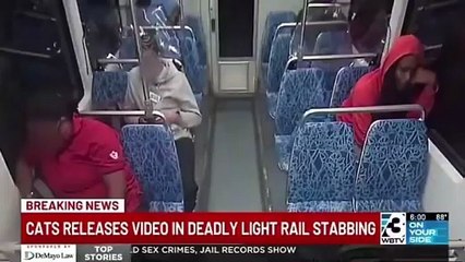 Un salvaje delincuente negro asesinó a una joven refugiada ucraniana en Estados Unidos