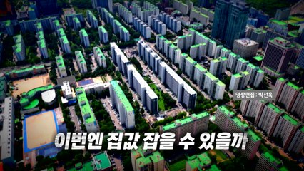 [영상] 첫 공급 대책...이번엔 집값 잡기 성공할까 / YTN