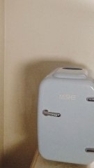 Oya Obinidodo's Mini Fridge Restock # 5