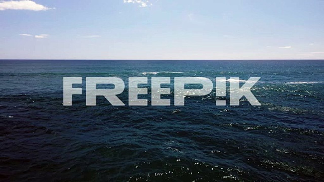 aerial view of tasman sea and piha beach in new zealand, backwards towards wild rocky shore