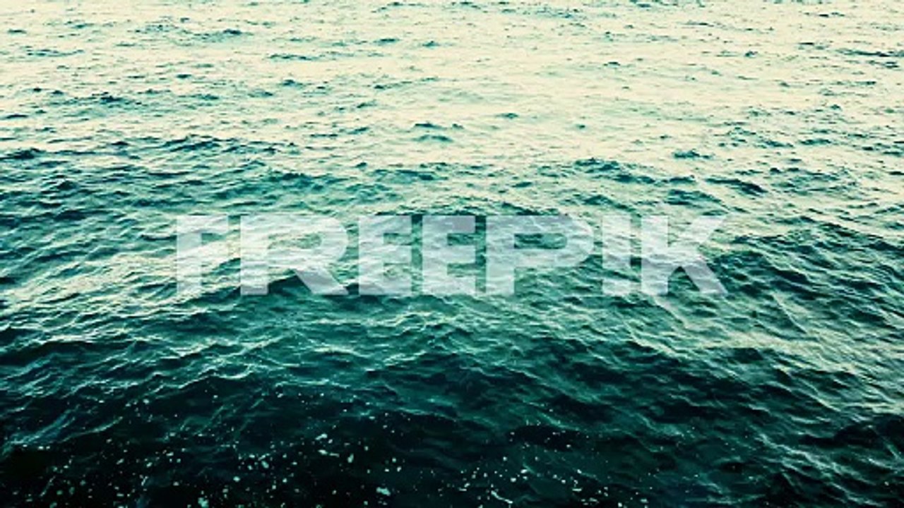 mesmerizing movement of the ocean