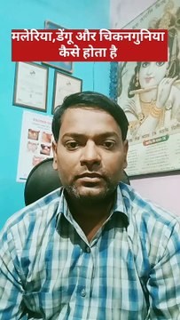 मलेरिया, डेंगू और चिकनगुनिया ।