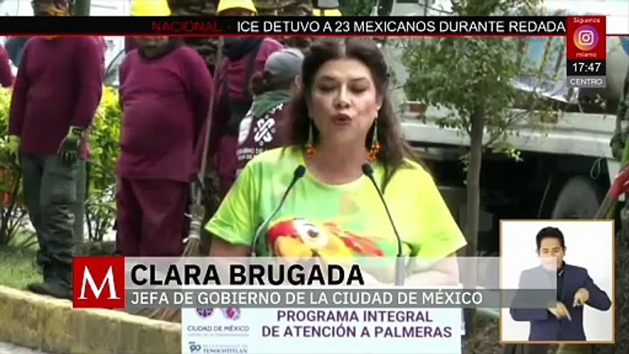 En la CdMx, da inicio la sustitución de palmeras; se planea el retiro de mil quinientas palmeras