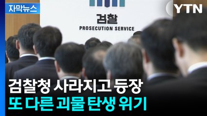[자막뉴스] "국민에게 피해 돌아올 수도"...비대해지는 권한에 우려 / YTN
